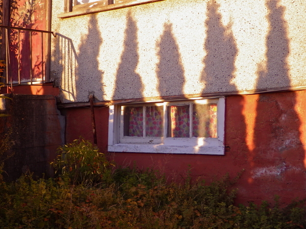 Red Shadows
